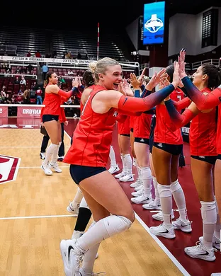 Arizona Wildcats Volleyball Cincinnati