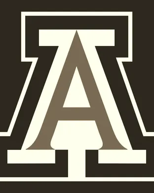 Arizona Wildcats Cincinnati