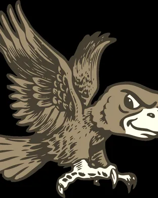 Bowling Green Falcons Oxford