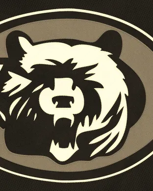 Chicago Bears Cincinnati