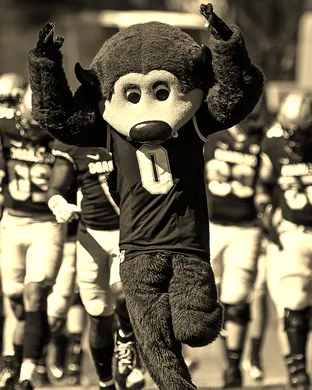 Colorado Buffaloes Cincinnati