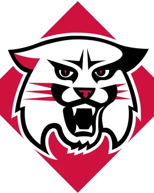 Davidson Wildcats Dayton