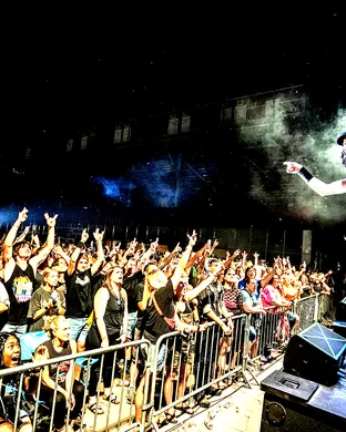 Hairball Florence