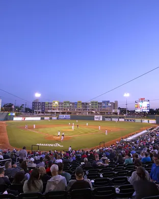 Lansing Lugnuts Dayton