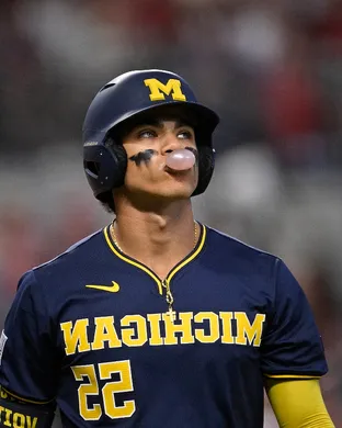 Michigan Wolverines Baseball Ann Arbor
