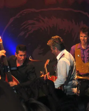 Stray Cats Dayton
