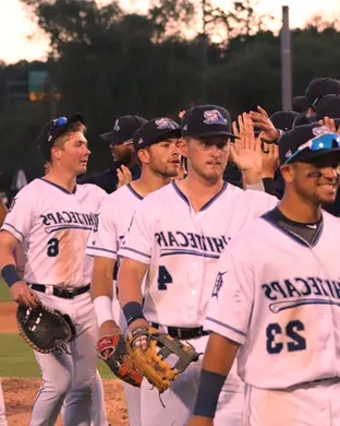 West Michigan Whitecaps Dayton